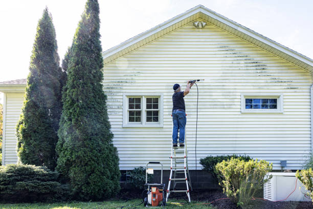 Best Roof Pressure Washing  in Tennille, GA